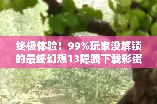 终极体验!99%玩家没解锁的最终幻想13隐藏下载彩蛋,错过再等十年! 终极体验!99%玩家没解锁的最终幻想13隐藏下载彩蛋,错过再等十年!