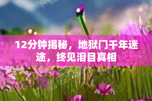 12分钟揭秘，地狱门千年迷途，终见泪目真相