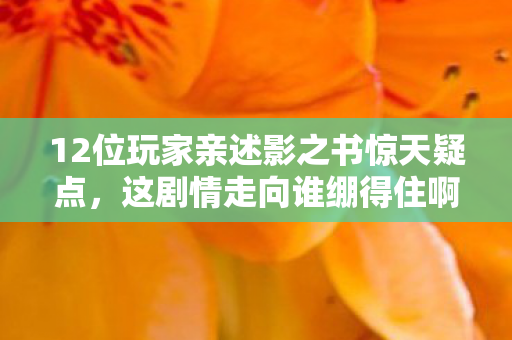 12位玩家亲述影之书惊天疑点,这剧情走向谁绷得住啊! 12位玩家亲述影之书惊天疑点,这剧情走向谁绷得住啊!