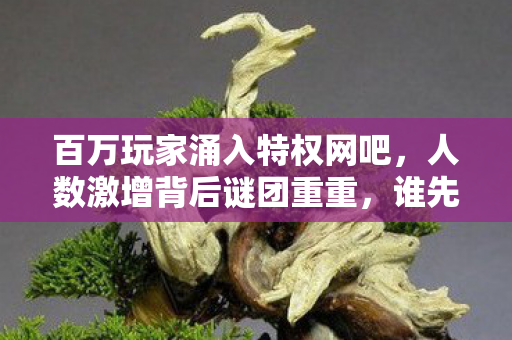 百万玩家涌入特权网吧,人数激增背后谜团重重,谁先破防? 百万玩家涌入特权网吧,人数激增背后谜团重重,谁先破防?