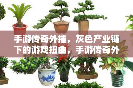 手游传奇外挂，灰色产业链下的游戏扭曲，手游传奇外挂，灰色产业链下的游戏扭曲