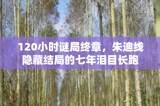 120小时谜局终章,朱迪线隐藏结局的七年泪目长跑 120小时谜局终章,朱迪线隐藏结局的七年泪目长跑