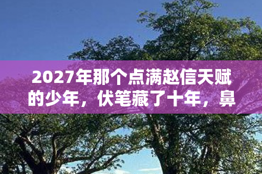 2027年那个点满赵信天赋的少年,伏笔藏了十年,鼻子一酸才读懂 2027年那个点满赵信天赋的少年,伏笔藏了十年,鼻子一酸才读懂