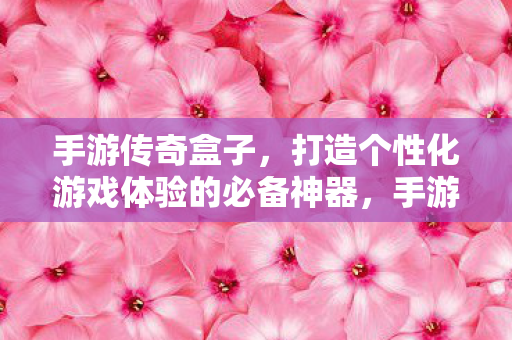 手游传奇盒子，打造个性化游戏体验的必备神器，手游传奇盒子，打造个性化游戏体验的必备利器
