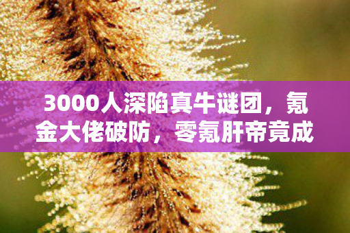 3000人深陷真牛谜团,氪金大佬破防,零氪肝帝竟成最大赢家? 3000人深陷真牛谜团,氪金大佬破防,零氪肝帝竟成最大赢家?