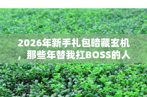 2026年新手礼包暗藏玄机，那些年替我扛BOSS的人，让我鼻子一酸