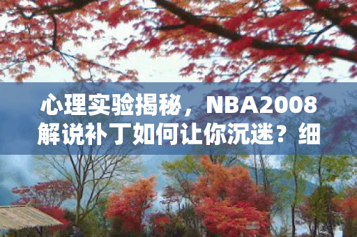 心理实验揭秘，NBA2008解说补丁如何让你沉迷？细思极恐！