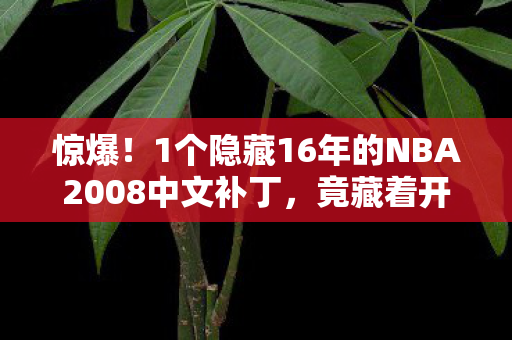 惊爆！1个隐藏16年的NBA2008中文补丁，竟藏着开发组的惊天秘密？