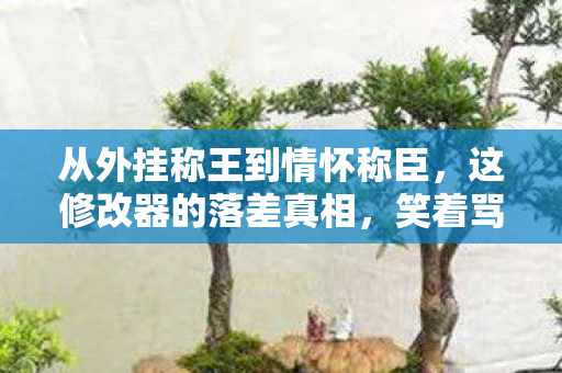 从外挂称王到情怀称臣，这修改器的落差真相，笑着骂完突然哭了