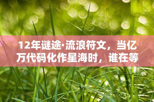 12年谜途·流浪符文，当亿万代码化作星海时，谁在等那声回家？