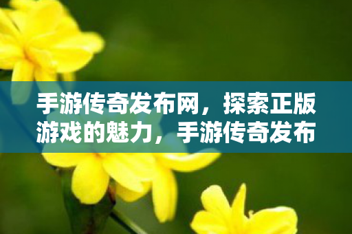 探索正版游戏的魅力图片