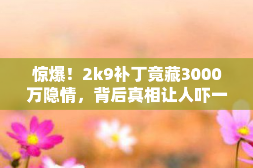 惊爆！2k9补丁竟藏3000万隐情，背后真相让人吓一跳！