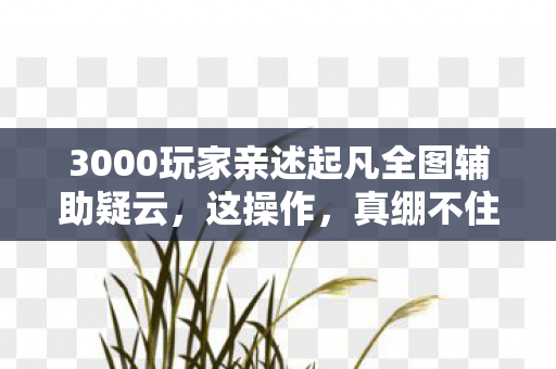 3000玩家亲述起凡全图辅助疑云，这操作，真绷不住了！