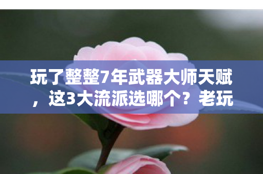 玩了整整7年武器大师天赋，这3大流派选哪个？老玩家纠结到失眠！
