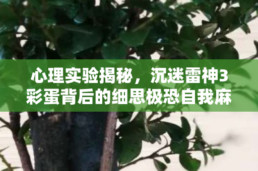 心理实验揭秘,沉迷雷神3彩蛋背后的细思极恐自我麻醉 心理实验揭秘,沉迷雷神3彩蛋背后的细思极恐自我麻醉