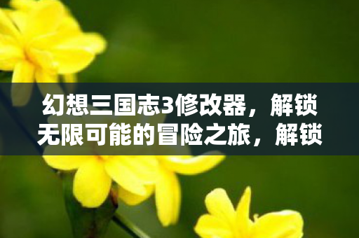 幻想三国志3修改器,解锁无限可能的冒险之旅,解锁无限可能,幻想三国志3修改器助你冒险 幻想三国志3修改器,解锁无限可能的冒险之旅,解锁无限可能,幻想三国志3修改器助你冒险