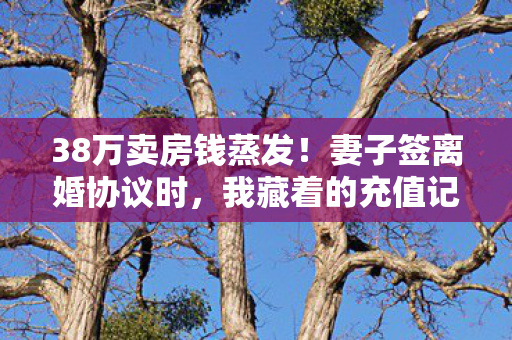 38万卖房钱蒸发!妻子签离婚协议时,我藏着的充值记录让她吓一跳 38万卖房钱蒸发!妻子签离婚协议时,我藏着的充值记录让她吓一跳
