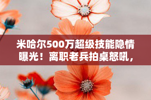 米哈尔500万超级技能隐情曝光!离职老兵拍桌怒吼,这数据吓一跳! 米哈尔500万超级技能隐情曝光!离职老兵拍桌怒吼,这数据吓一跳!