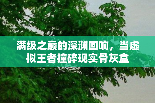 满级之巅的深渊回响,当虚拟王者撞碎现实骨灰盒 满级之巅的深渊回响,当虚拟王者撞碎现实骨灰盒