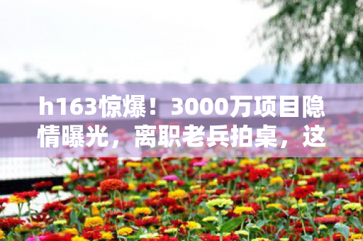 h163惊爆!3000万项目隐情曝光,离职老兵拍桌,这结果真让人吓一跳! h163惊爆!3000万项目隐情曝光,离职老兵拍桌,这结果真让人吓一跳!