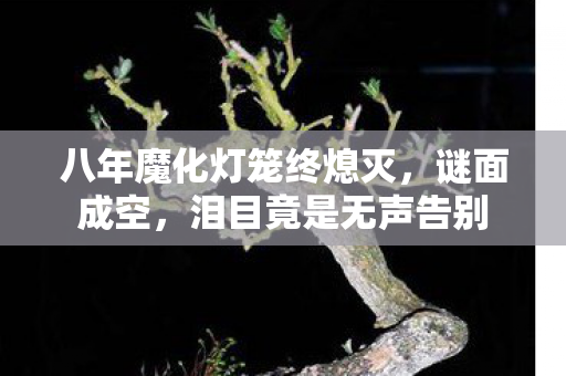 八年魔化灯笼终熄灭,谜面成空,泪目竟是无声告别 八年魔化灯笼终熄灭,谜面成空,泪目竟是无声告别