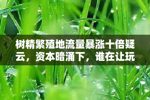 树精繁殖地流量暴涨十倍疑云,资本暗涌下,谁在让玩家心寒? 树精繁殖地流量暴涨十倍疑云,资本暗涌下,谁在让玩家心寒?