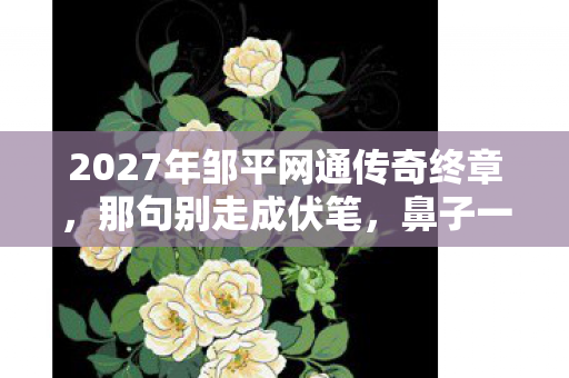 2027年邹平网通传奇终章,那句别走成伏笔,鼻子一酸忆往昔 2027年邹平网通传奇终章,那句别走成伏笔,鼻子一酸忆往昔