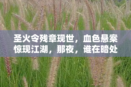 圣火令残章现世，血色悬案惊现江湖，那夜，谁在暗处低语？