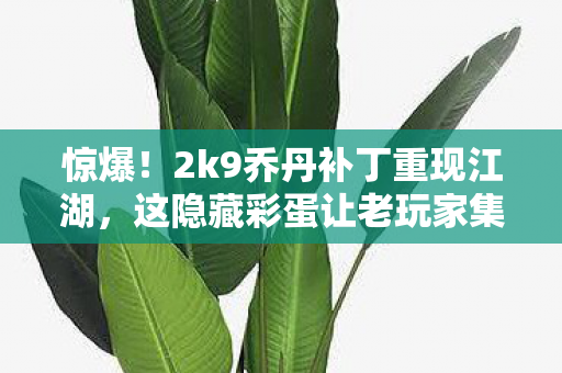 惊爆!2k9乔丹补丁重现江湖,这隐藏彩蛋让老玩家集体沸腾! 惊爆!2k9乔丹补丁重现江湖,这隐藏彩蛋让老玩家集体沸腾!