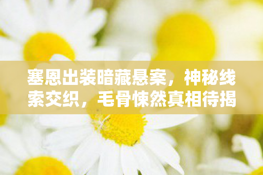 塞恩出装暗藏悬案,神秘线索交织,毛骨悚然真相待揭! 塞恩出装暗藏悬案,神秘线索交织,毛骨悚然真相待揭!