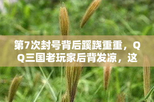 第7次封号背后蹊跷重重,QQ三国老玩家后背发凉,这外挂竟藏着…… 第7次封号背后蹊跷重重,QQ三国老玩家后背发凉,这外挂竟藏着……