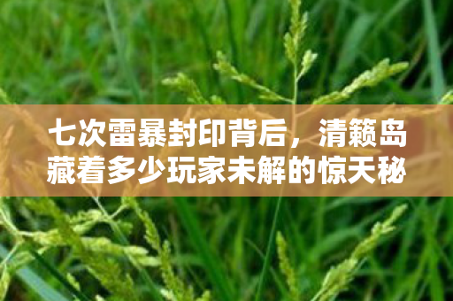 七次雷暴封印背后,清籁岛藏着多少玩家未解的惊天秘密? 七次雷暴封印背后,清籁岛藏着多少玩家未解的惊天秘密?