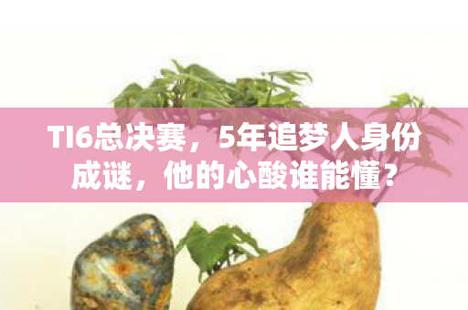 TI6总决赛，5年追梦人身份成谜，他的心酸谁能懂？