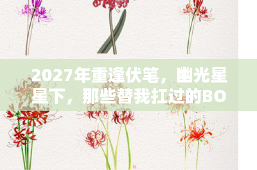 2027年重逢伏笔,幽光星星下,那些替我扛过的BOSS,鼻子一酸忆旧情 2027年重逢伏笔,幽光星星下,那些替我扛过的BOSS,鼻子一酸忆旧情