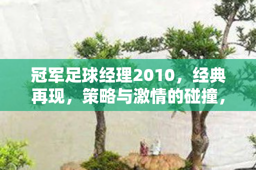 冠军足球经理2010,经典再现,策略与激情的碰撞,冠军足球经理2010,策略与激情的碰撞再现经典 冠军足球经理2010,经典再现,策略与激情的碰撞,冠军足球经理2010,策略与激情的碰撞再现经典