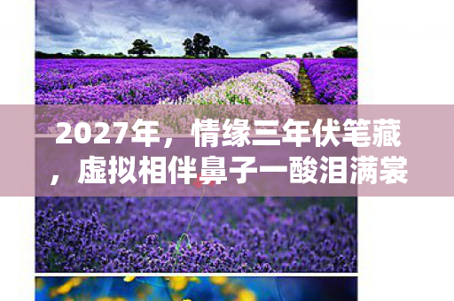 2027年,情缘三年伏笔藏,虚拟相伴鼻子一酸泪满裳 2027年,情缘三年伏笔藏,虚拟相伴鼻子一酸泪满裳
