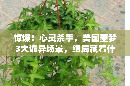 惊爆！心灵杀手，美国噩梦3大诡异场景，结局藏着什么惊天秘密？