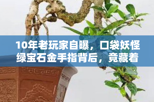 10年老玩家自曝,口袋妖怪绿宝石金手指背后,竟藏着这般心酸! 10年老玩家自曝,口袋妖怪绿宝石金手指背后,竟藏着这般心酸!