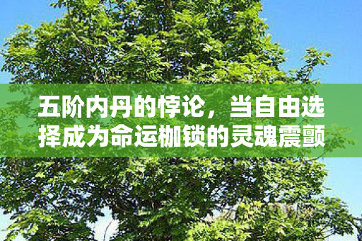 五阶内丹的悖论,当自由选择成为命运枷锁的灵魂震颤 五阶内丹的悖论,当自由选择成为命运枷锁的灵魂震颤