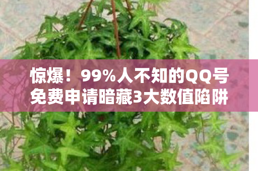 惊爆!99%人不知的QQ号免费申请暗藏3大数值陷阱,策划绝不敢说! 惊爆!99%人不知的QQ号免费申请暗藏3大数值陷阱,策划绝不敢说!