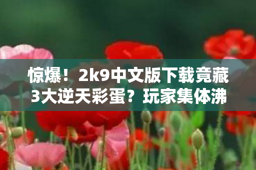 惊爆!2k9中文版下载竟藏3大逆天彩蛋?玩家集体沸腾了! 惊爆!2k9中文版下载竟藏3大逆天彩蛋?玩家集体沸腾了!