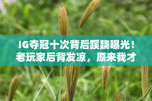 IG夺冠十次背后蹊跷曝光！老玩家后背发凉，原来我才是提线木偶
