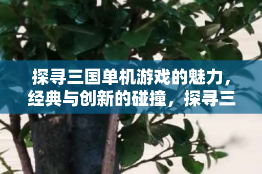 探寻三国单机游戏的魅力,经典与创新的碰撞,探寻三国单机游戏,经典与创新的碰撞 探寻三国单机游戏的魅力,经典与创新的碰撞,探寻三国单机游戏,经典与创新的碰撞