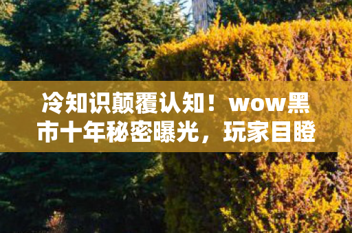 冷知识颠覆认知！wow黑市十年秘密曝光，玩家目瞪口呆自扇耳光