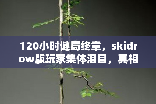 120小时谜局终章,skidrow版玩家集体泪目,真相竟在死亡时间线里 120小时谜局终章,skidrow版玩家集体泪目,真相竟在死亡时间线里