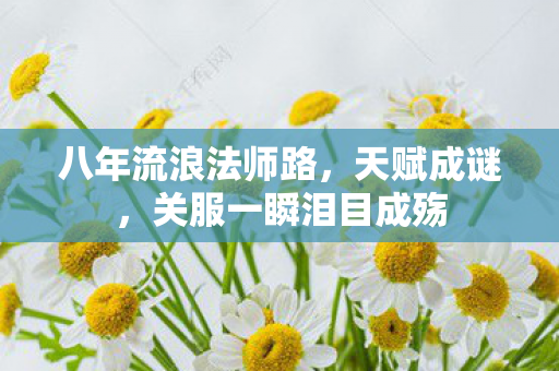 八年流浪法师路，天赋成谜，关服一瞬泪目成殇