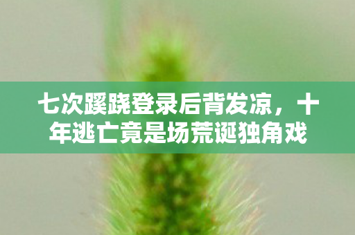 十年逃亡竟是场荒诞独角戏图片