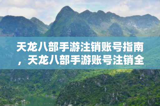 天龙八部手游注销账号指南,天龙八部手游账号注销全攻略 天龙八部手游注销账号指南,天龙八部手游账号注销全攻略