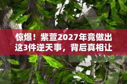 紫萱2027年竟做出这3件逆天事图片