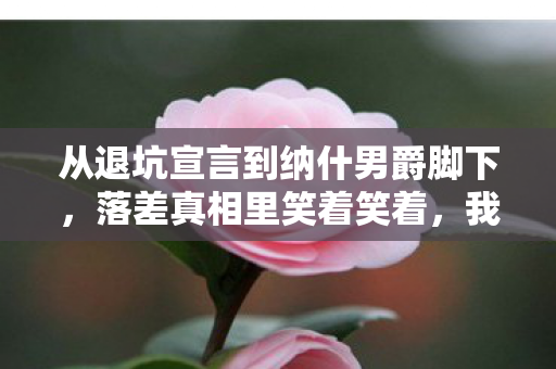 从退坑宣言到纳什男爵脚下图片